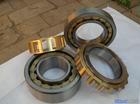 (yng) SL045016PPS INAS pНMbALS