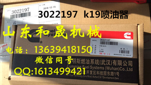 3022197 ˹K19l(f)늙CM  ֱN