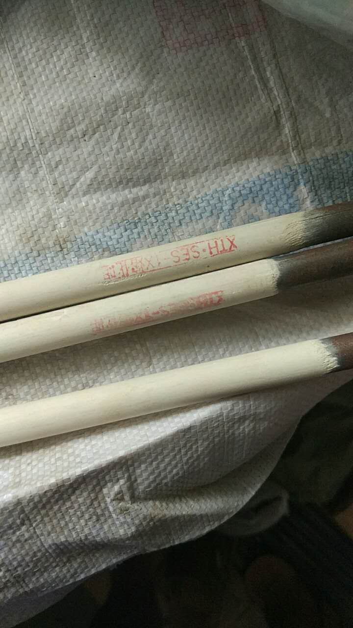 XTH.SES-1Xۻ׈r