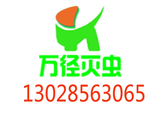 T(mn)󡢜Λρρˎx(chng)ȫh(hun)