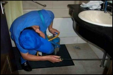 ρĺòÿЧ