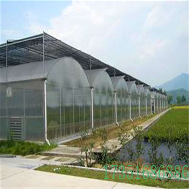 溫室連棟大棚廠 規(guī)格可定制 建造基地
